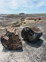 Crystal forest FP (7).JPG